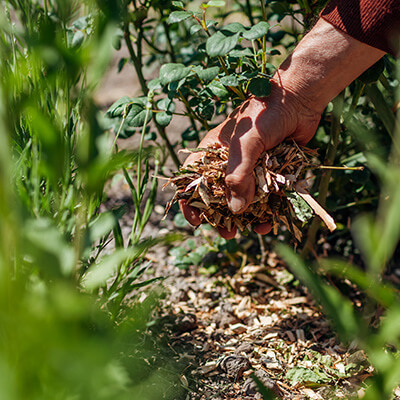 Mulch