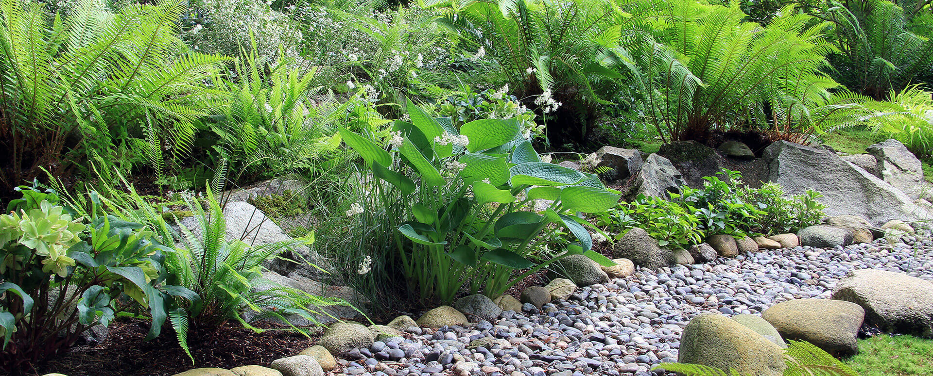 Landscape Nursery